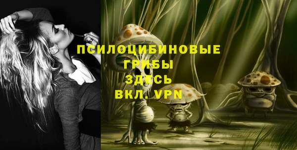 меф Алексин